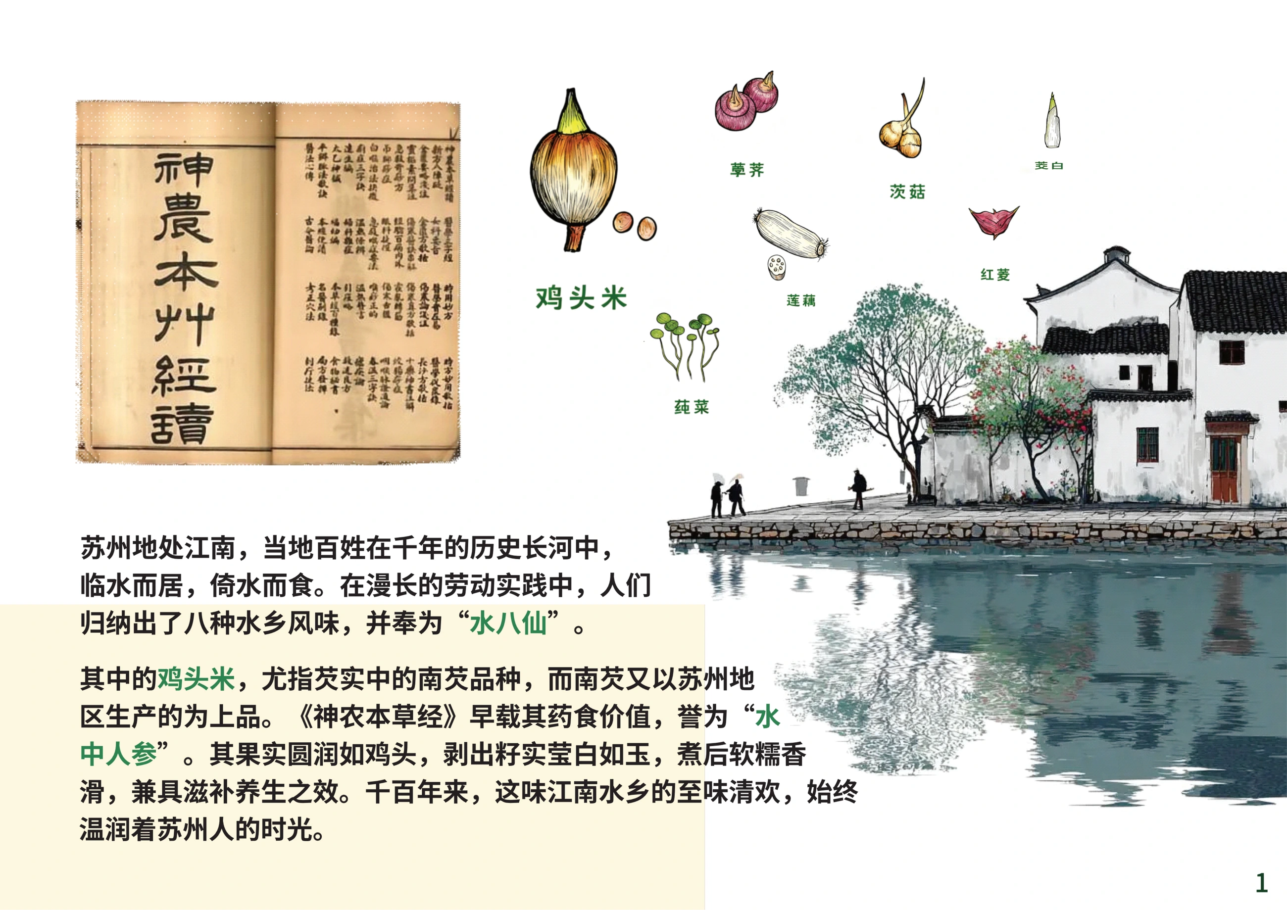 膳芡坊 — 地方食材与江南饮食文化背景